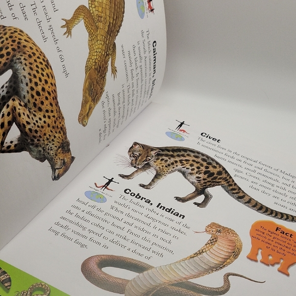 Deadly Creatures Dictionary - Picture 4 of 7